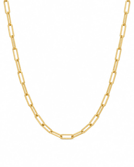FLEURENZ FLEUR gold paperclip chain necklace on a white background